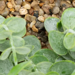 3S. x Home Plante artificielle suspendue Zea Online