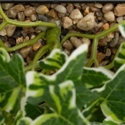 3S. x Home Plante artificielle suspendue Curt Pot métal noir New