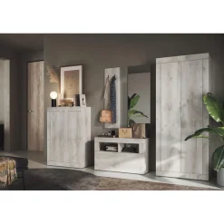 3S. x Home Portemanteau 2 portes Discount