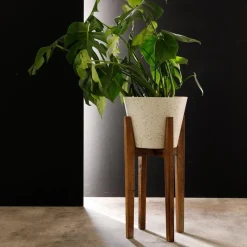Becquet Pot Décoratif moyen en Bois et résine Plant Up Beige Online