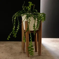 Becquet Pot Décoratif moyen en Bois et résine Plant Up Beige Online