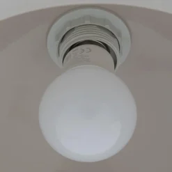 3S. x Home Suspension Beige Discount