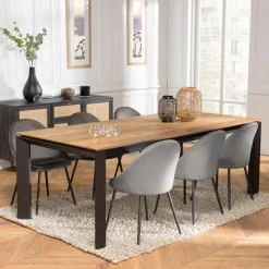 Macabane Table à manger MAXENCE 220/6501 pieds métal Online