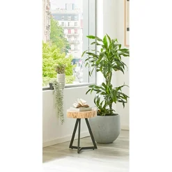 3S. x Home Table d'appoint plateau rondelle d'arbre modèle mini