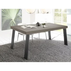 3S. x Home Table fixe PALMA avec pieds en fer Bronce gris
