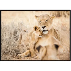 3S. x Home Toile imprimée Bianca 50x70cm Lionne et son lionceau New