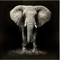 3S. x Home Toile imprimée éléphant 100X100 Noir Clearance