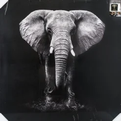 3S. x Home Toile imprimée éléphant 100X100 Noir Clearance